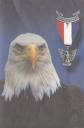 EagleImage.jpg