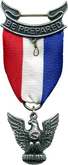 Eagle Pin